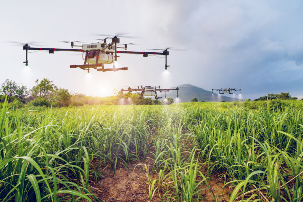 Drone flying over sugar cane farm