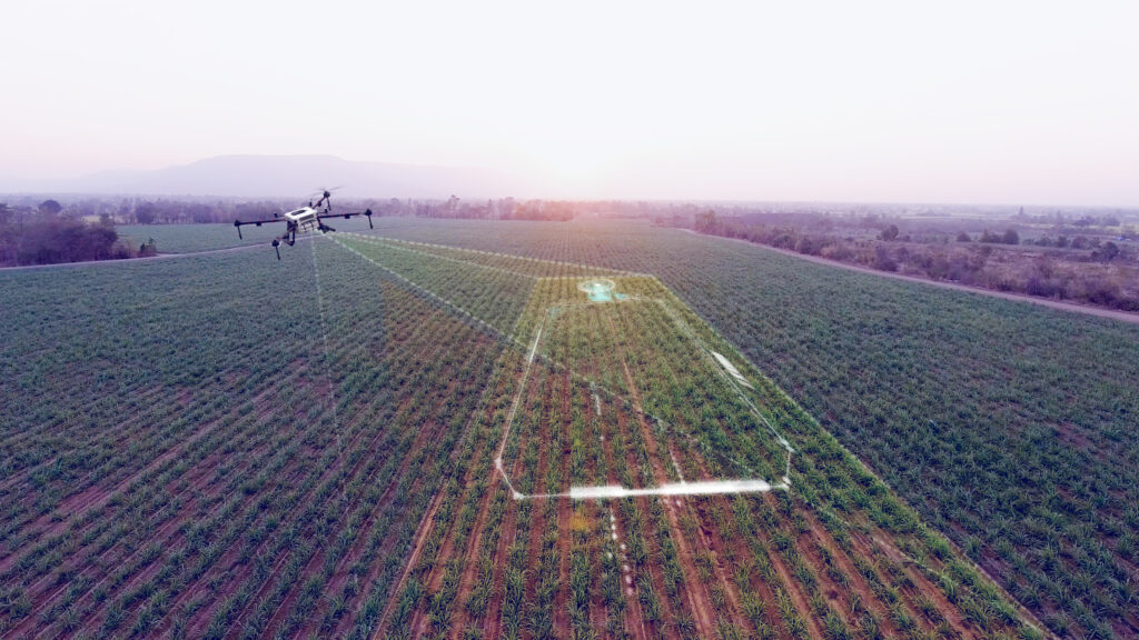 Agriculture drone scanning